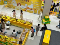 -帕帕拉兹宠物(亚洲旗舰店)