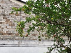 -蒋氏故居