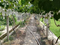 -美家乐农庄·露营·团建(大治路店)