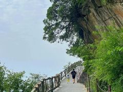 -少华山国家森林公园