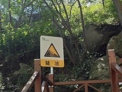-大岭沟猕猴桃谷风景区