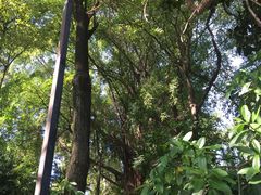 -佛山祈福仙湖酒店