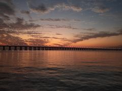 -宝安西湾红树林湿地公园