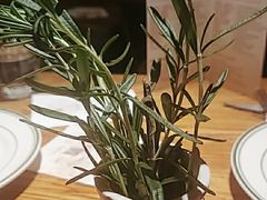 -La Strada(安福路店)