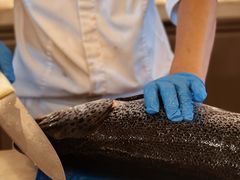 -长沙大王山朗豪酒店·朗豪自助餐厅