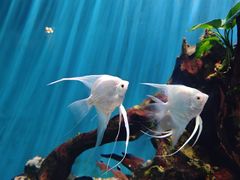 -海合安武汉极地海洋公园