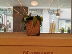 -思南书局(复兴中路店)