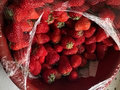 -江杨农产品批发市场