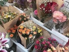 -溪岸路花鸟市场