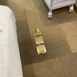 -贞禾医美·连锁