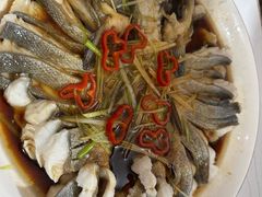 -煲来饱去冷水鱼