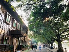 -大湾区中央湿地公园