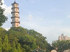 -江心屿景区