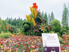 -东平国家森林公园