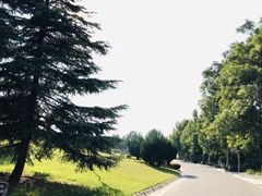-石家庄市植物园