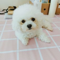 -肌理言健康美肌驻颜所