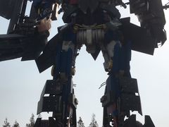 -上海长兴岛郊野公园