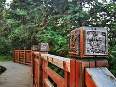 -紫鹊界梯田景区