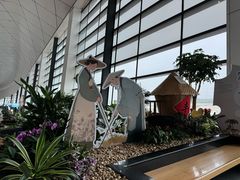-郑州新郑国际机场-T2航站楼