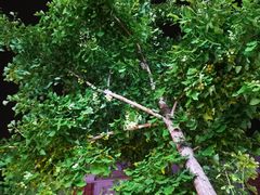 -巴伐利亚啤酒坊(意式风情街店)