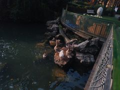 -成都欢乐谷