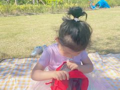 -春花秋色城市公园