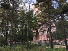 -黑龙江省森林植物园