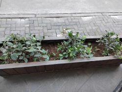 -香秀空间科技抗衰·美容中心