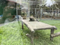 -深圳野生动物园