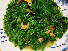 草头蚌肉-兴农记