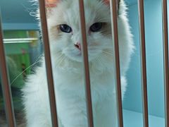 -FAELING PETS美天灵宠物(合生汇店)