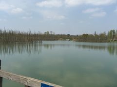 -白鹭湾湿地公园