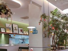 -Aqua Oasis 水天堂(太湖中心mall店)