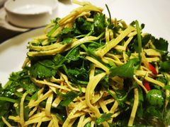 三叶芹-泰河谷·豆捞