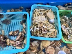 -云南巷海鲜大咖·可加工海鲜