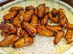 -鸽子窝(宋庄店)