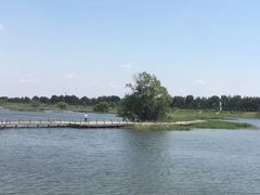 -蒲河岛湿地公园