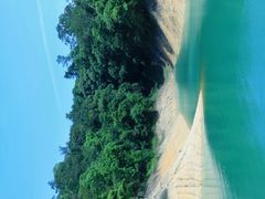 -广州市流溪河国家森林公园