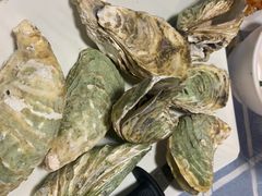 -东极岛海鲜