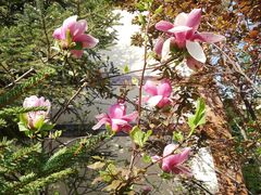 -金石唐风国际温泉会馆