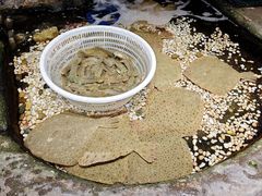 -郑庄脂渣海鲜楼(九水路店)