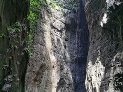 -武陵山森林公园