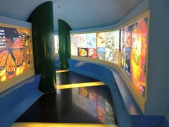 -上海昆虫博物馆