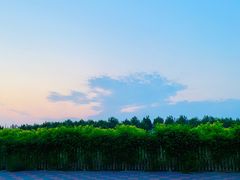 -南开大学滨海学院