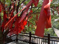 -潜山国家森林公园