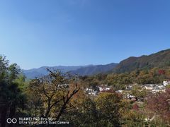 -塔川景区