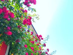 -无锡师范学校附属小学(学前街校区)