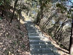 -杭州半山国家森林公园