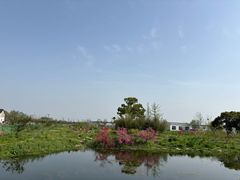 -嘉北郊野公园