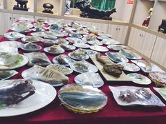 -宝安区结缘奇石博物馆